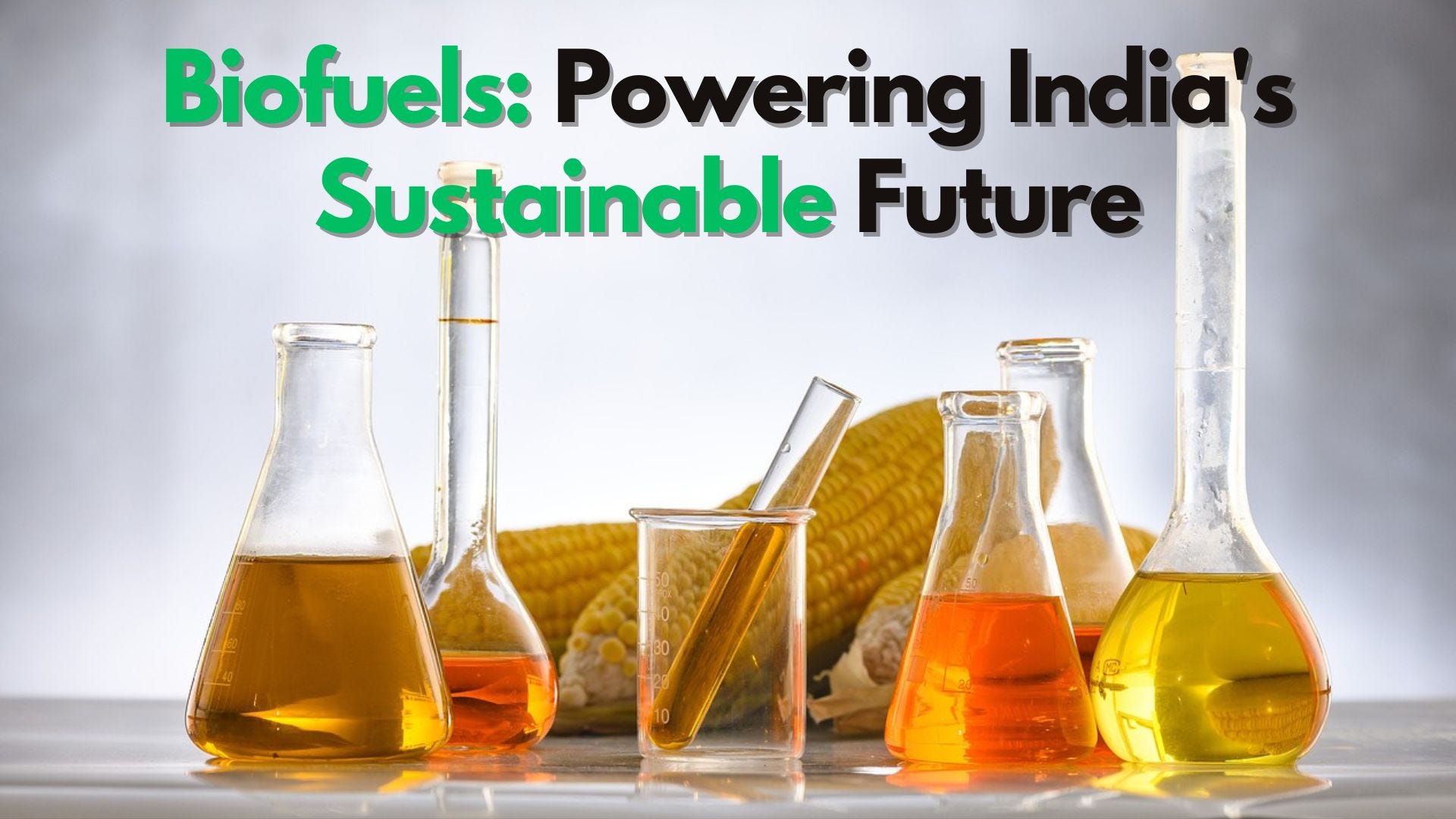The Future of Biofuel in India � A Step Towards Sustainable Energy