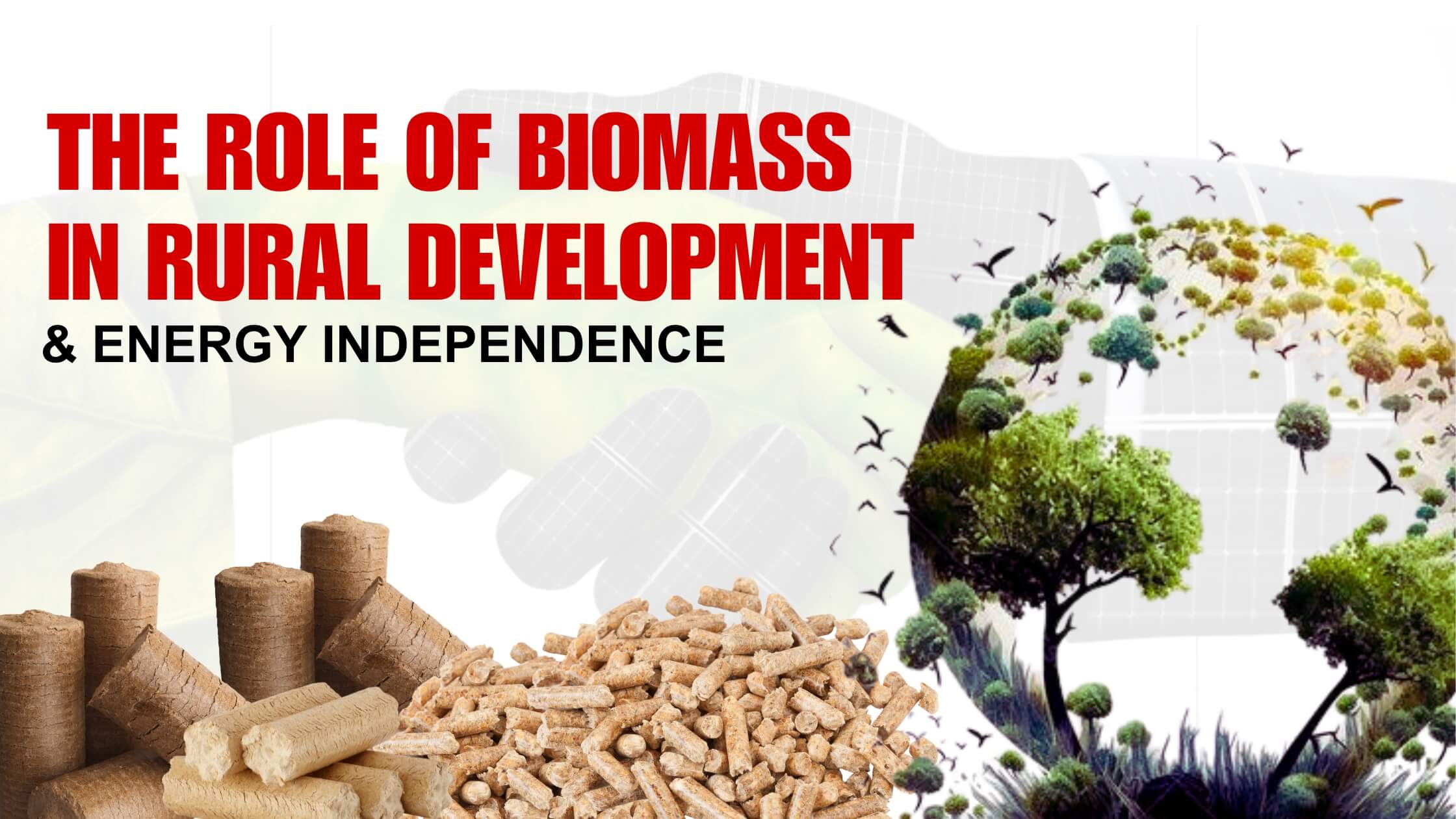 How Biofuel Supports Economic Growth and Rural Development
