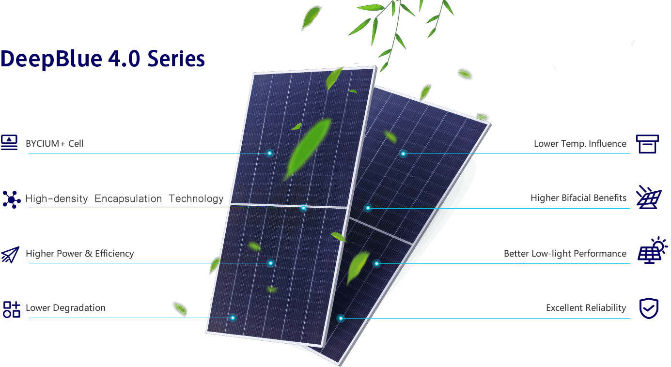 Project Screenshot