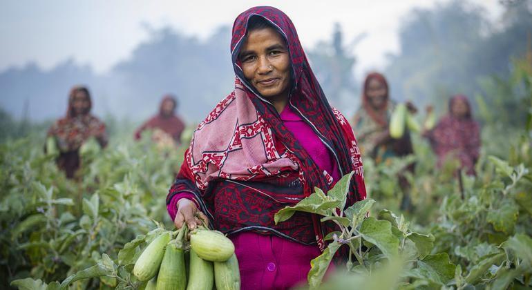 Women Empowerment