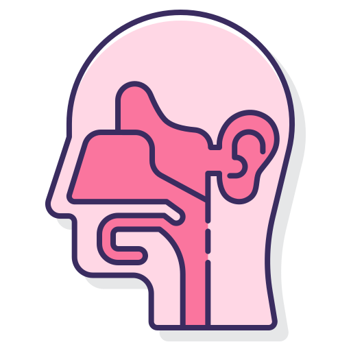 ENT (Ear, Nose, and Throat)