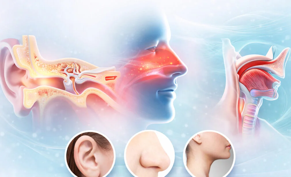 ENT (Ear, Nose, and Throat)