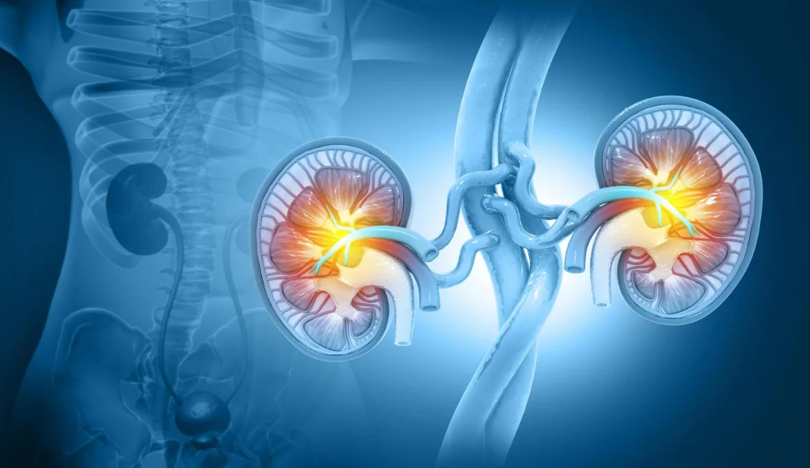 Nephrology