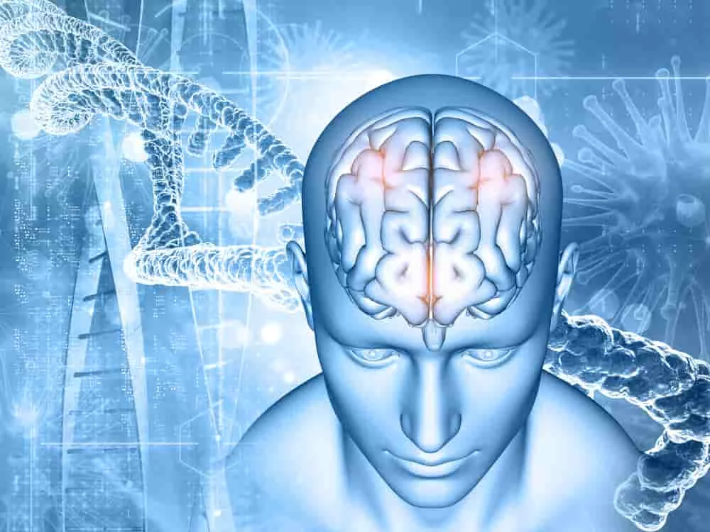 Neurosurgery Patient Review In SMR Hospital
